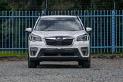 Subaru Forester Limited AWD 2019 White for sale