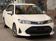 Toyota Axio 1.5 X 4WD 2019 White for sale