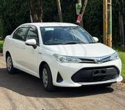 Toyota Axio 1.5 Hybrid 2WD 2019 Off white for sale