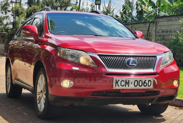 Lexus RX 2010 Maroon