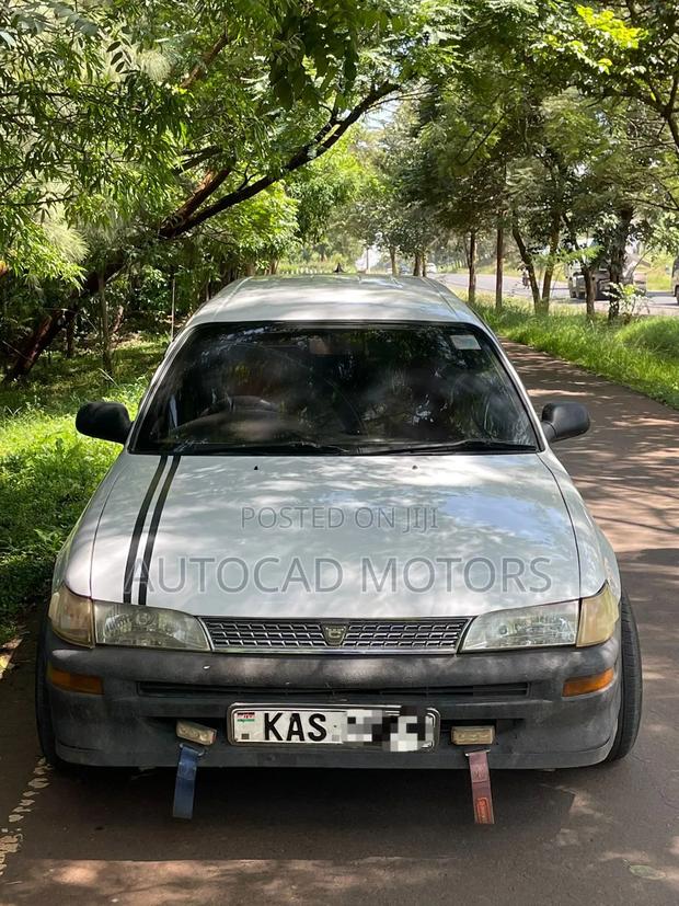 Toyota Corolla 1999 White
