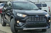 Toyota RAV4 2019 Matt Black for sale