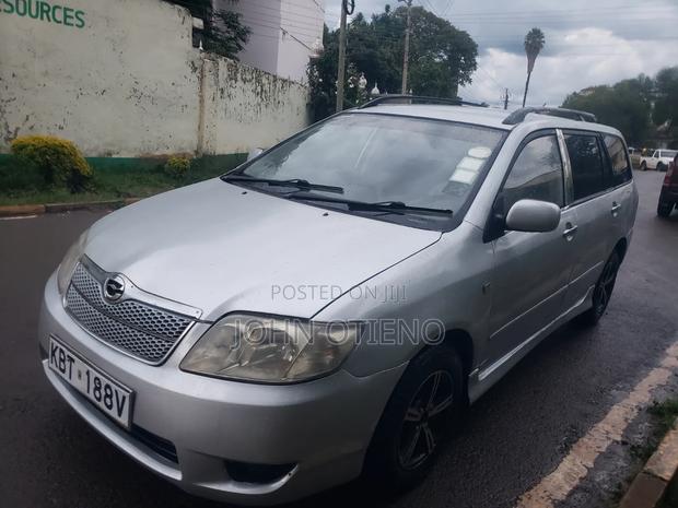 Toyota Corolla Fielder 2006 Silver