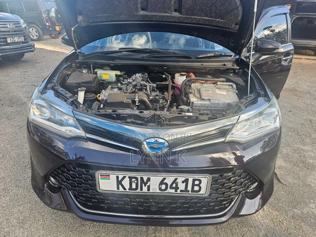 Toyota Corolla Fielder 2016 Black