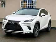Lexus NX 300 AWD 2020 White for sale