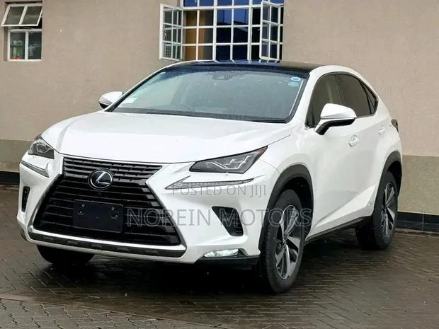 Lexus NX 300 AWD 2020 White