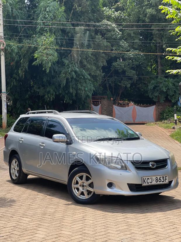 Toyota Corolla Fielder 2009 Silver