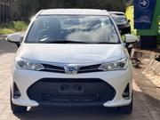 Toyota Axio 2019 White for sale