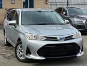 Toyota Corolla Fielder 2019 Silver for sale