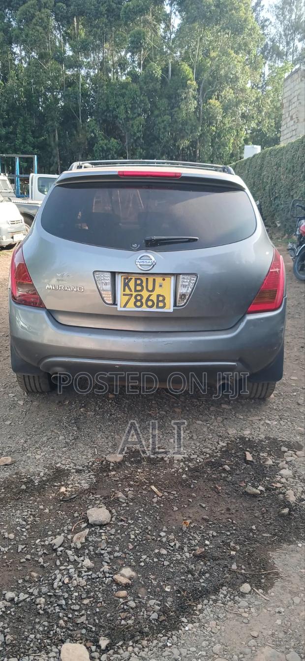 Nissan Murano 2005 Gray