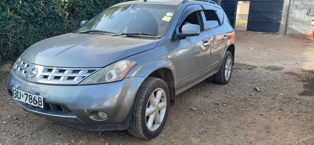 Nissan Murano 2005 Gray