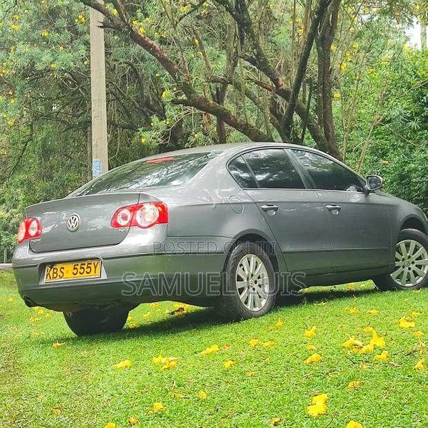 Volkswagen Passat 2005 Gray