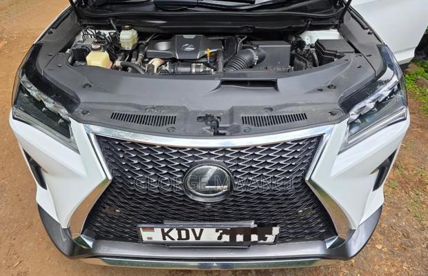 Lexus RX 2019 White