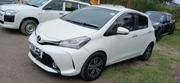 Toyota Vitz 2016 Pearl for sale
