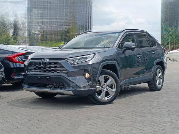 Toyota RAV4 Limited AWD 2020 Gray