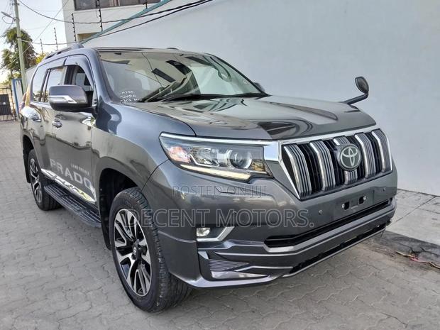 Toyota Land Cruiser Prado 2.8 2022 Gray