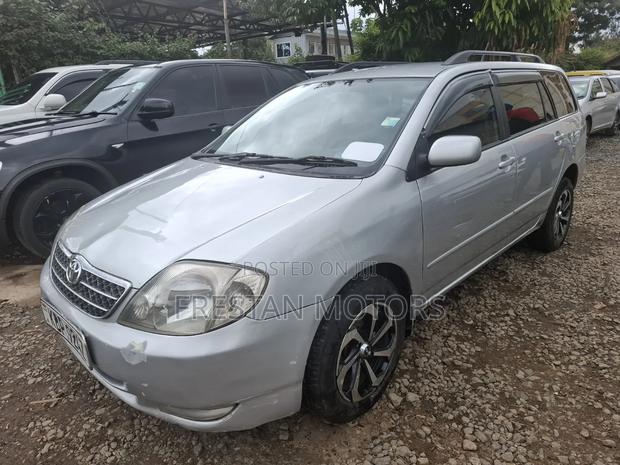 Toyota Corolla Fielder 2005 Silver