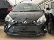 Toyota Vitz 2019 Black for sale