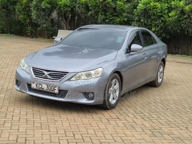 Toyota Mark X 2010 Gray