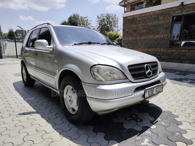Mercedes-Benz M Class ML 350 2004 Silver
