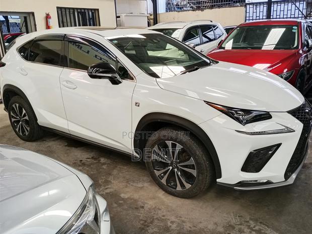 Lexus NX 300 AWD 2019 Pearl