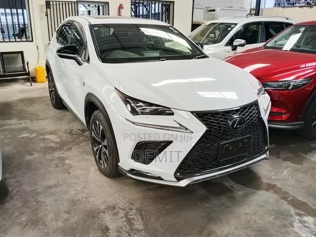 Lexus NX 300 AWD 2019 Pearl