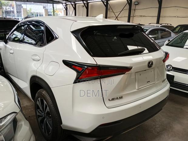 Lexus NX 300 AWD 2019 Pearl