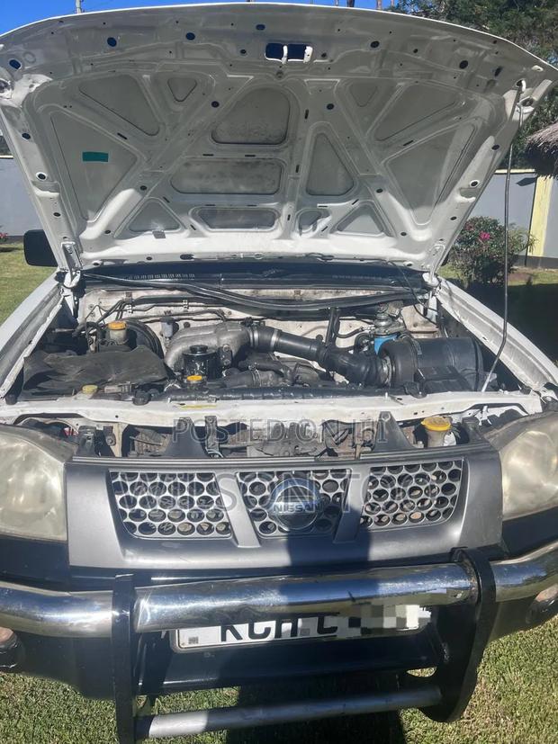 Nissan Hardbody 2016 White