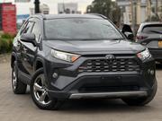Toyota RAV4 Limited AWD 2019 Gray for sale