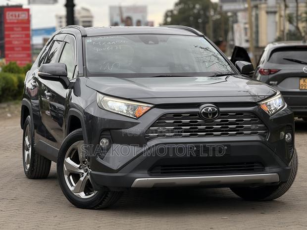 Toyota RAV4 Limited AWD 2019 Gray