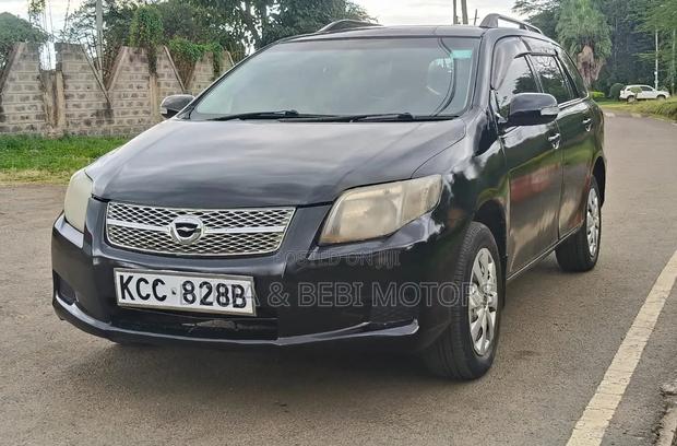 Toyota Corolla Fielder 2007 Black