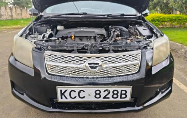 Toyota Corolla Fielder 2007 Black