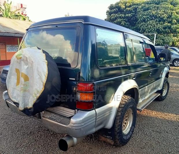 Mitsubishi Pajero 1996 Blue