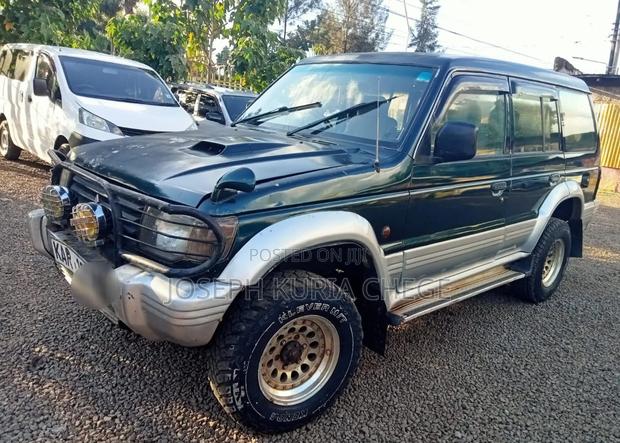 Mitsubishi Pajero 1996 Blue