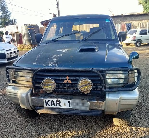 Mitsubishi Pajero 1996 Blue