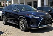 Lexus RX 300 2WD 2019 Blue for sale