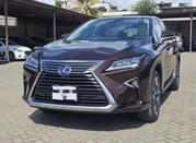 Lexus RX 450H AWD 2019 Brown for sale