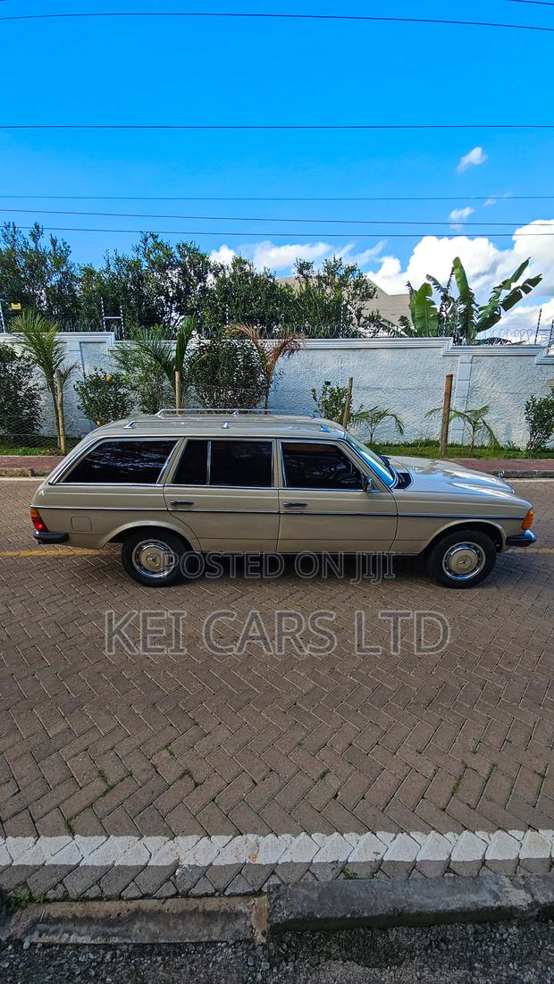 Mercedes-Benz W123 1985 Beige