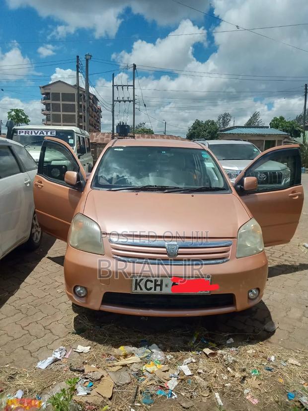 Toyota Raum 2010 Brown