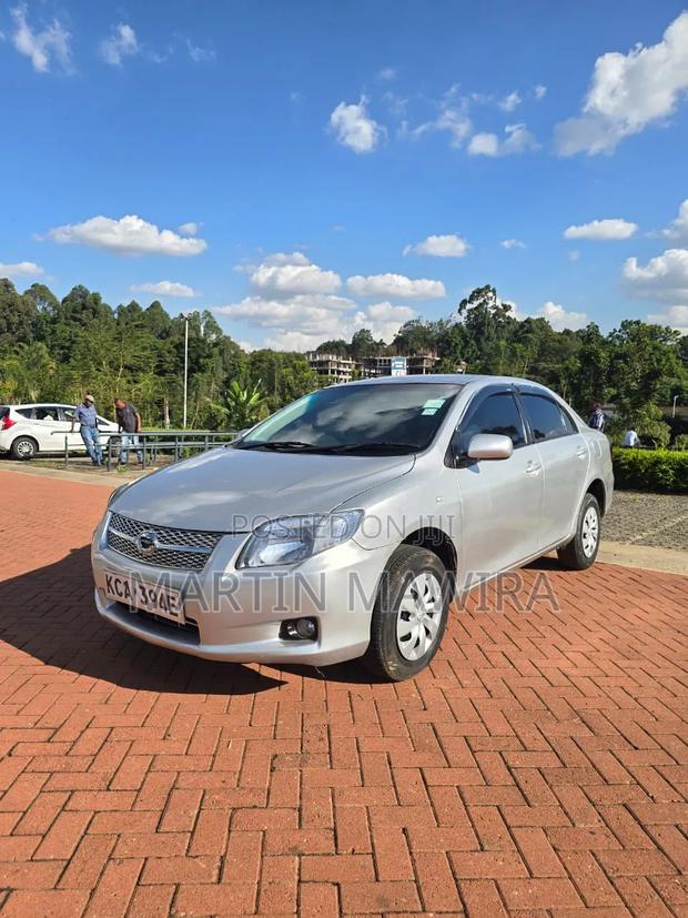 Toyota Axio 2009 Silver