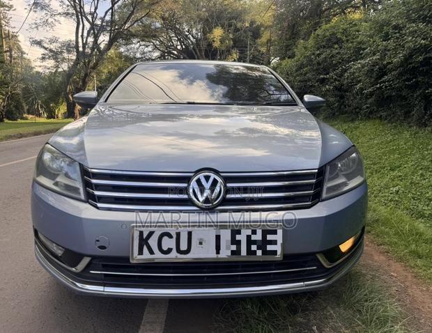 Volkswagen Passat SE 2013 Blue