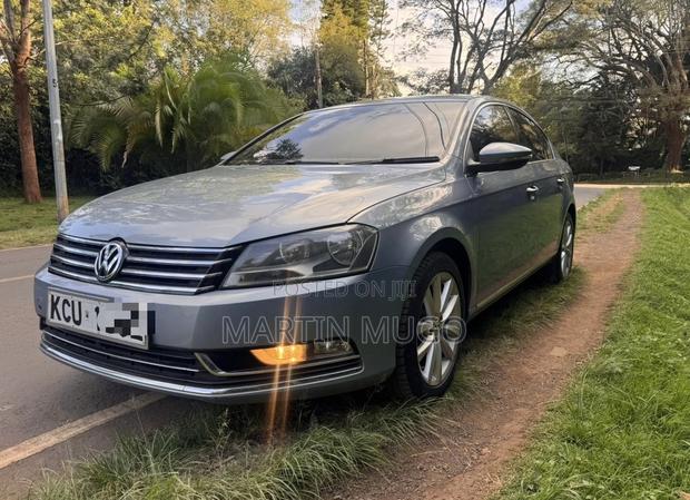 Volkswagen Passat SE 2013 Blue