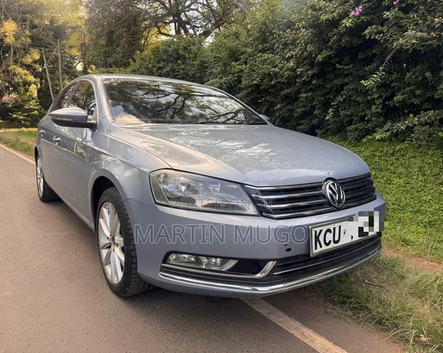 Volkswagen Passat SE 2013 Blue