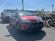 Toyota Vitz 2019 Red for sale