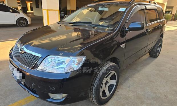 Toyota Corolla Fielder 2006 Black