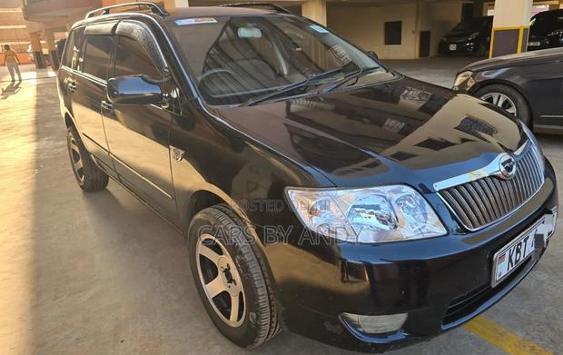 Toyota Corolla Fielder 2006 Black