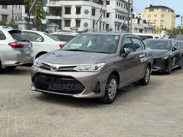 Toyota Axio 2019