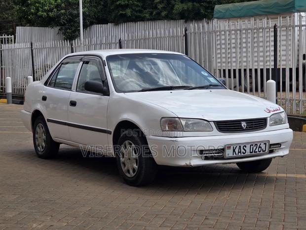 Toyota Corolla 1999 White