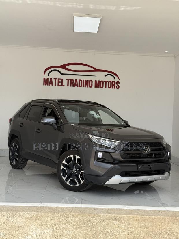 Toyota RAV4 Adventure 2019 Gray