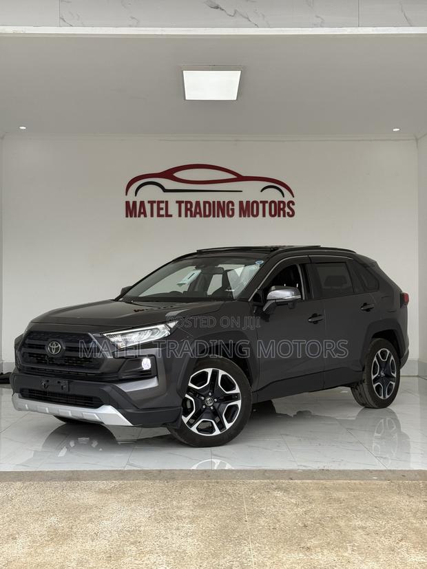 Toyota RAV4 Adventure 2019 Gray